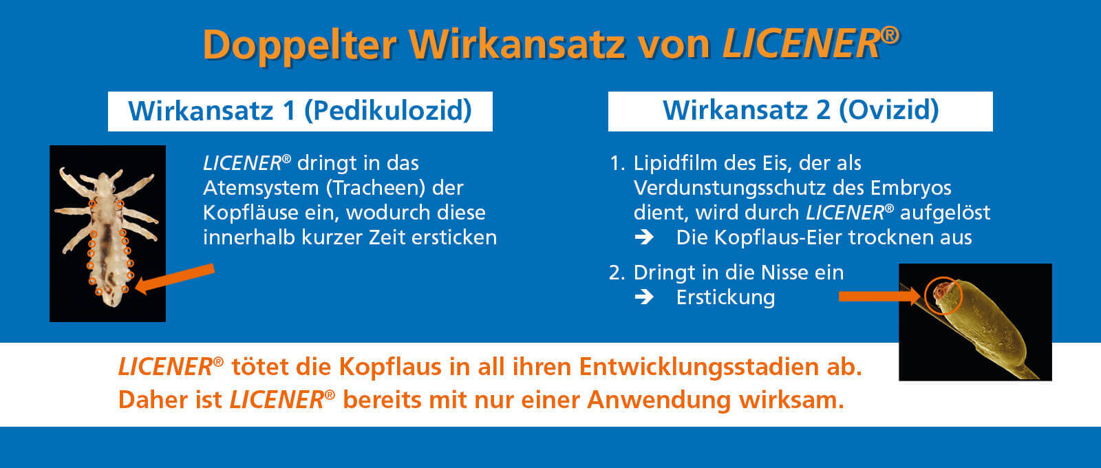 Darstellung des doppelten Wirkansatzes von Licener