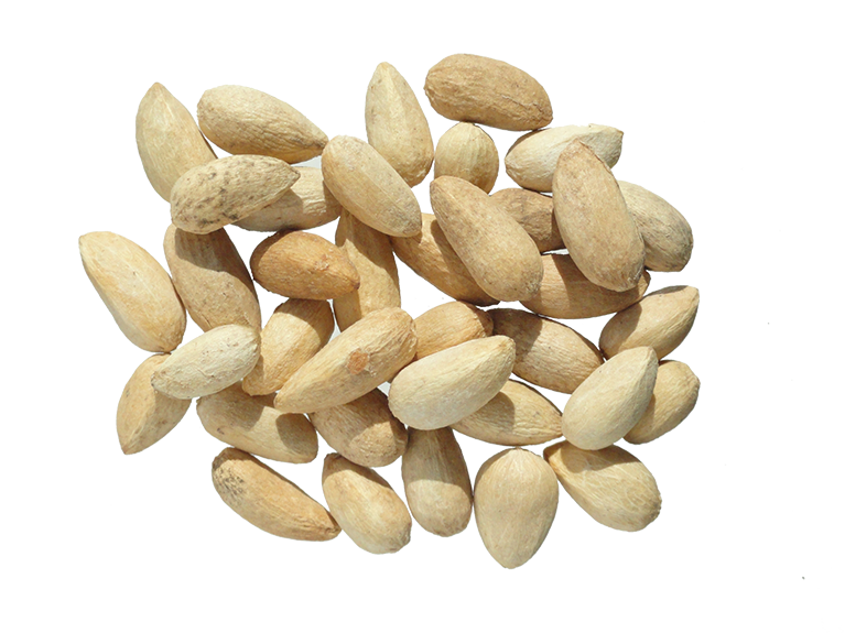 Neemsamen